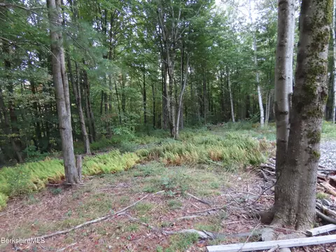 23 S County Rd, Florida, MA 01247 photo 25