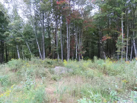 23 S County Rd, Florida, MA 01247 photo 22