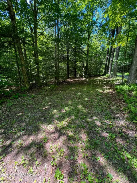 Exterior - 1555 Bush Rd, Windsor, MA 01270 photo 2 of 6