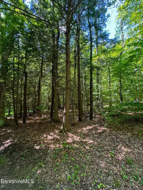 Other - 1555 Bush Rd, Windsor, MA 01270 photo 6 of 12