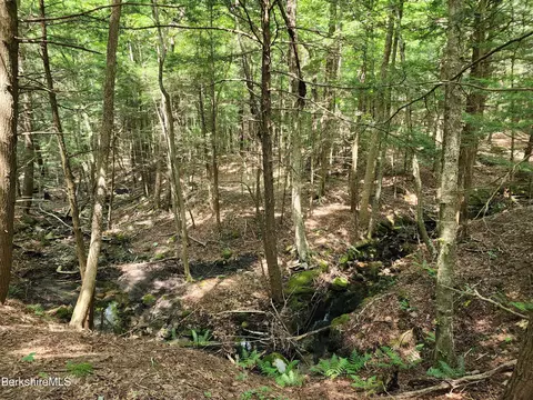 Stephanie Ln, Peru, MA 01235 photo 17
