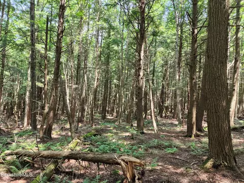Stephanie Ln, Peru, MA 01235 photo 22