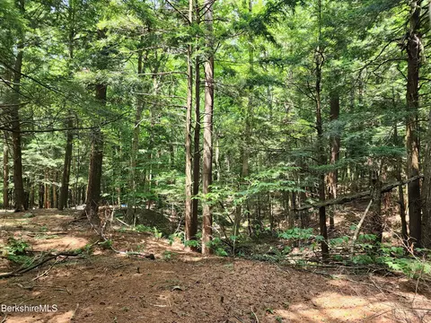 Stephanie Ln, Peru, MA 01235 photo 21