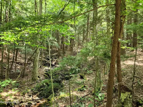 Stephanie Ln, Peru, MA 01235 photo 18