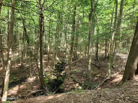 Stephanie Ln, Peru, MA 01235 photo 16