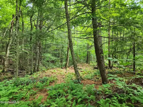 Stephanie Ln, Peru, MA 01235 photo 14