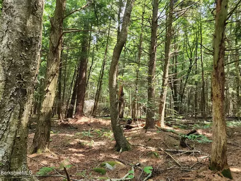 Stephanie Ln, Peru, MA 01235 photo 20