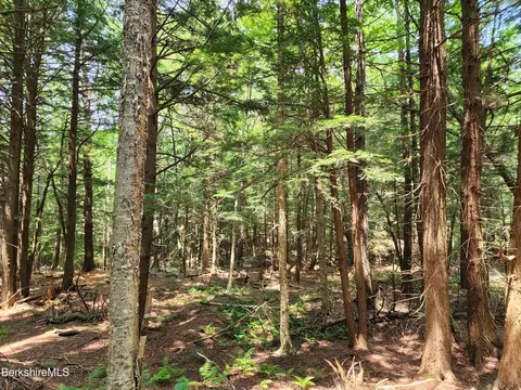 Stephanie Ln, Peru, MA 01235 photo 23