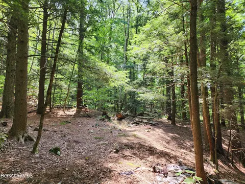 Stephanie Ln, Peru, MA 01235 photo 19