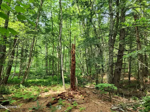 Stephanie Ln, Peru, MA 01235 photo 15