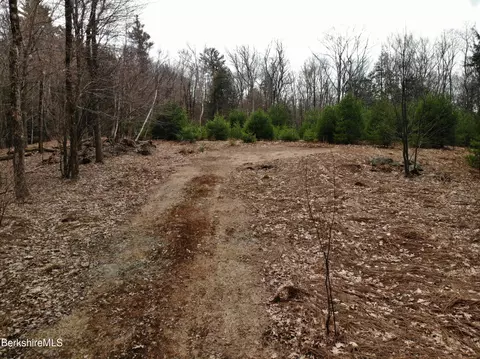 10 Mountain Rd, Mount Washington, MA 01258