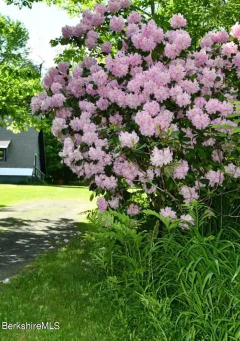 Exterior - 54 Schultz Rd, Washington, MA 01223 photo 6 of 7