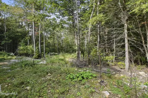 13 Haskell Rd, Peru, MA 01235 photo 32
