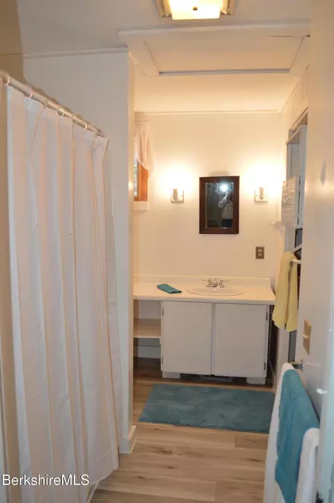 Bath - 141 Beech Tree Ln, Becket, MA 01223 photo 9 of 11