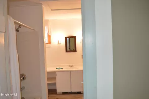 Bath - 141 Beech Tree Ln, Becket, MA 01223 photo 7 of 11