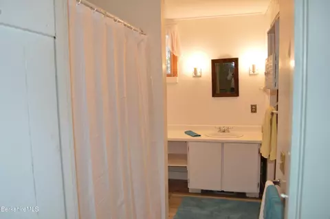 Bath - 141 Beech Tree Ln, Becket, MA 01223 photo 8 of 11