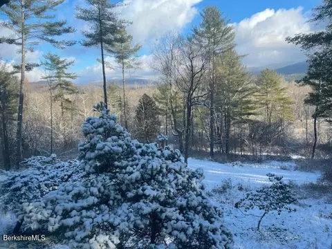 300 Syndicate Rd, Williamstown, MA 01267 photo 43