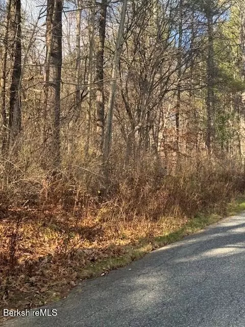 0 Plunkett St, Lenox, MA 01240 photo 12