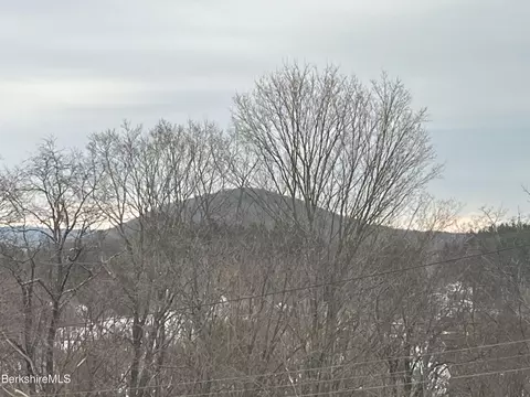 58 Franklin St, Pittsfield, MA 01201 photo 49