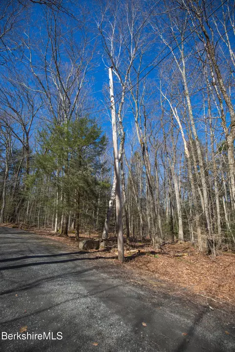 0 Hemlock Rd, Tyringham, MA 01264 photo 10