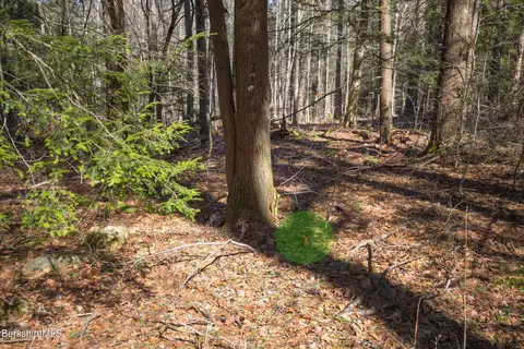 0 Hemlock Rd, Tyringham, MA 01264 photo 8
