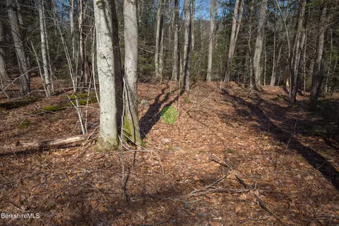 0 Hemlock Rd, Tyringham, MA 01264 photo 9