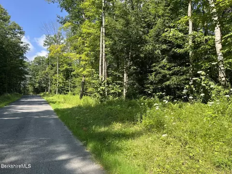 lot Apt 1 Webster Rd, Tyringham, MA 01264 photo 1