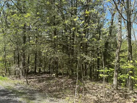 289 Antelope Dr, Lee, MA 01238 photo 6