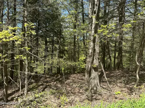 289 Antelope Dr, Lee, MA 01238 photo 9