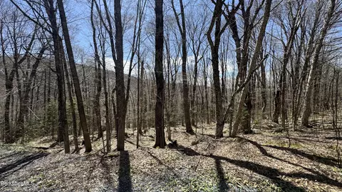 lot92 Aplendorf, Readsboro, VT 05350
