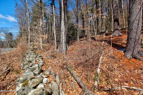 0 Tyringham Rd, Otis, MA 01253 photo 6