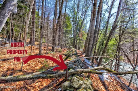 0 Tyringham Rd, Otis, MA 01253 photo 8
