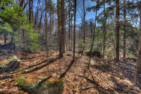 0 Tyringham Rd, Otis, MA 01253 photo 2
