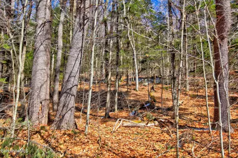 0 Tyringham Rd, Otis, MA 01253 photo 4