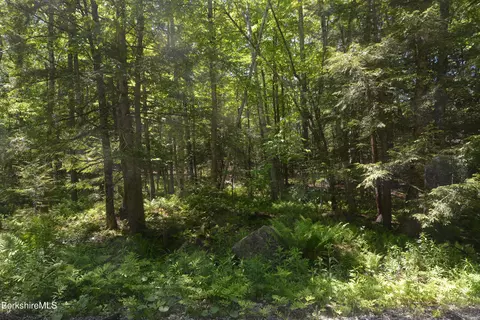lot155 Chippewa Dr, Becket, MA 01223