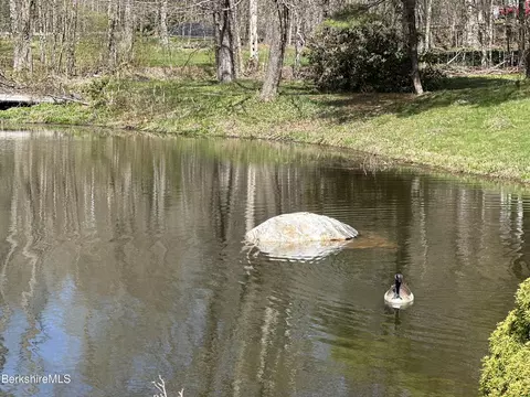 Other - 1689 E Windsor Rd, Windsor, MA 01270 photo 8 of 16