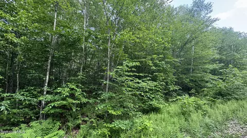 lot305 Lebenschauung Cir, Stamford, VT 05352