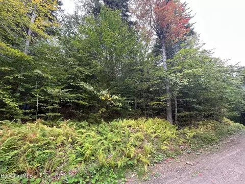 0 Manley Phelps Rd, Monroe, MA 01350