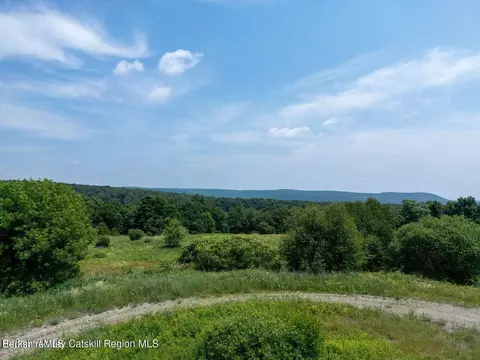 86 Balleymount Dr, Ancram, NY 12502 photo 3