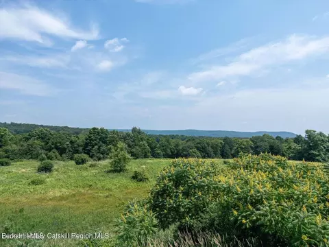 86 Balleymount Dr, Ancram, NY 12502 photo 5