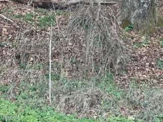 0 Clayton Mill River Rd, New Marlborough, MA 01244