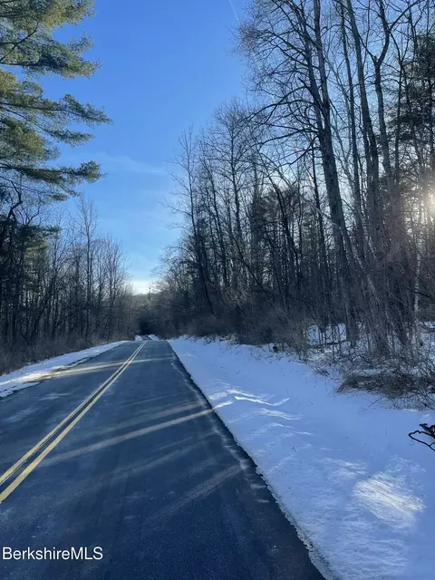 lot S 1-4 Partridge Rd, Lanesborough, MA 01237