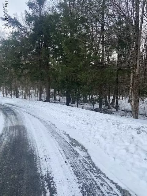 0 Kreutzer Rd, Peru, MA 01235