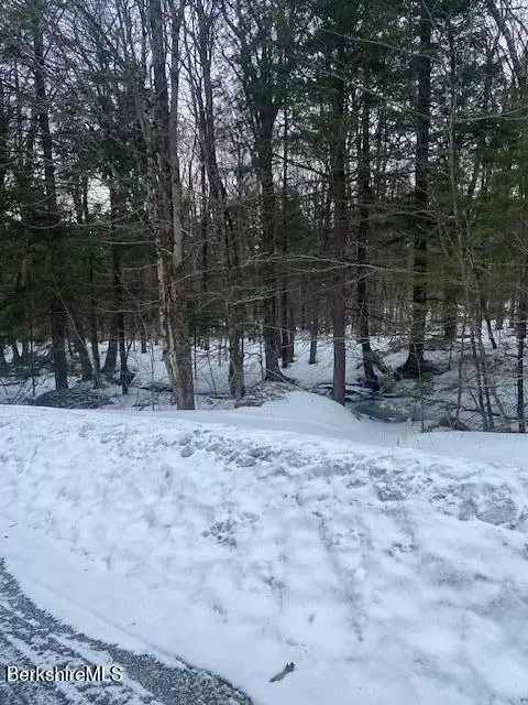 0 Kreutzer Rd, Peru, MA 01235 photo 3