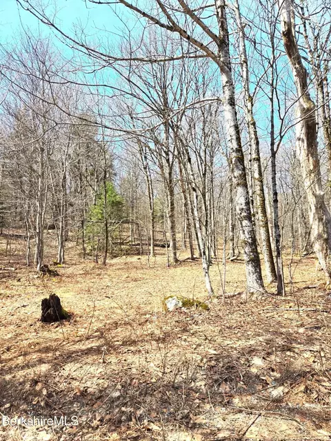 29 Moores Rd, Florida, MA 01247 photo 3