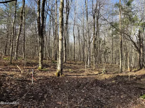 411-51 52 Skyline Trail Trl, Middlefield, MA 01243