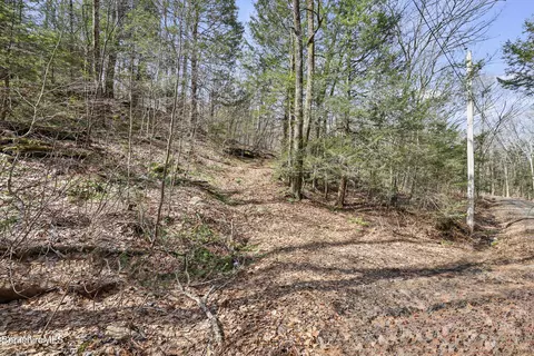 8 Hemlock Rd, Tyringham, MA 01264