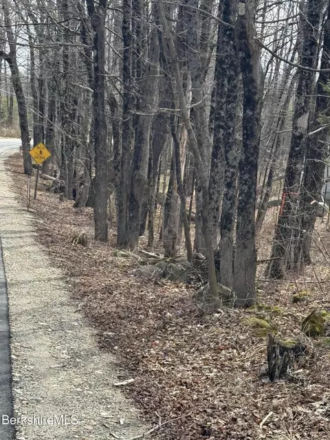 0 George Schnopp Rd, Hinsdale, MA 01235