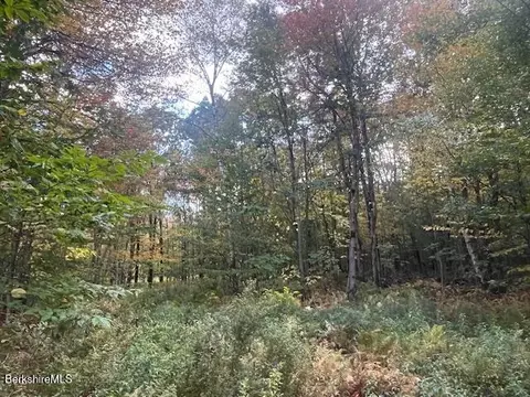 0 Stryker Rd, Florida, MA 01247 photo 2
