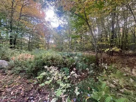 0 Stryker Rd, Florida, MA 01247 photo 3